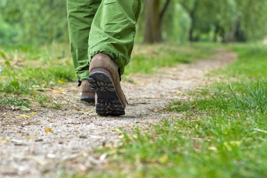 Как не заблудиться в лесу